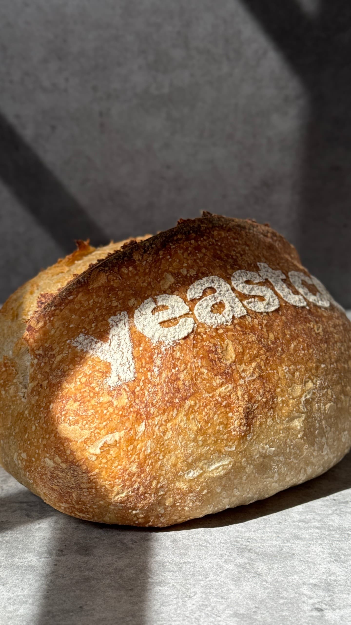Sourdough Country Loaf by YeastCo Bakery in Houston Texas