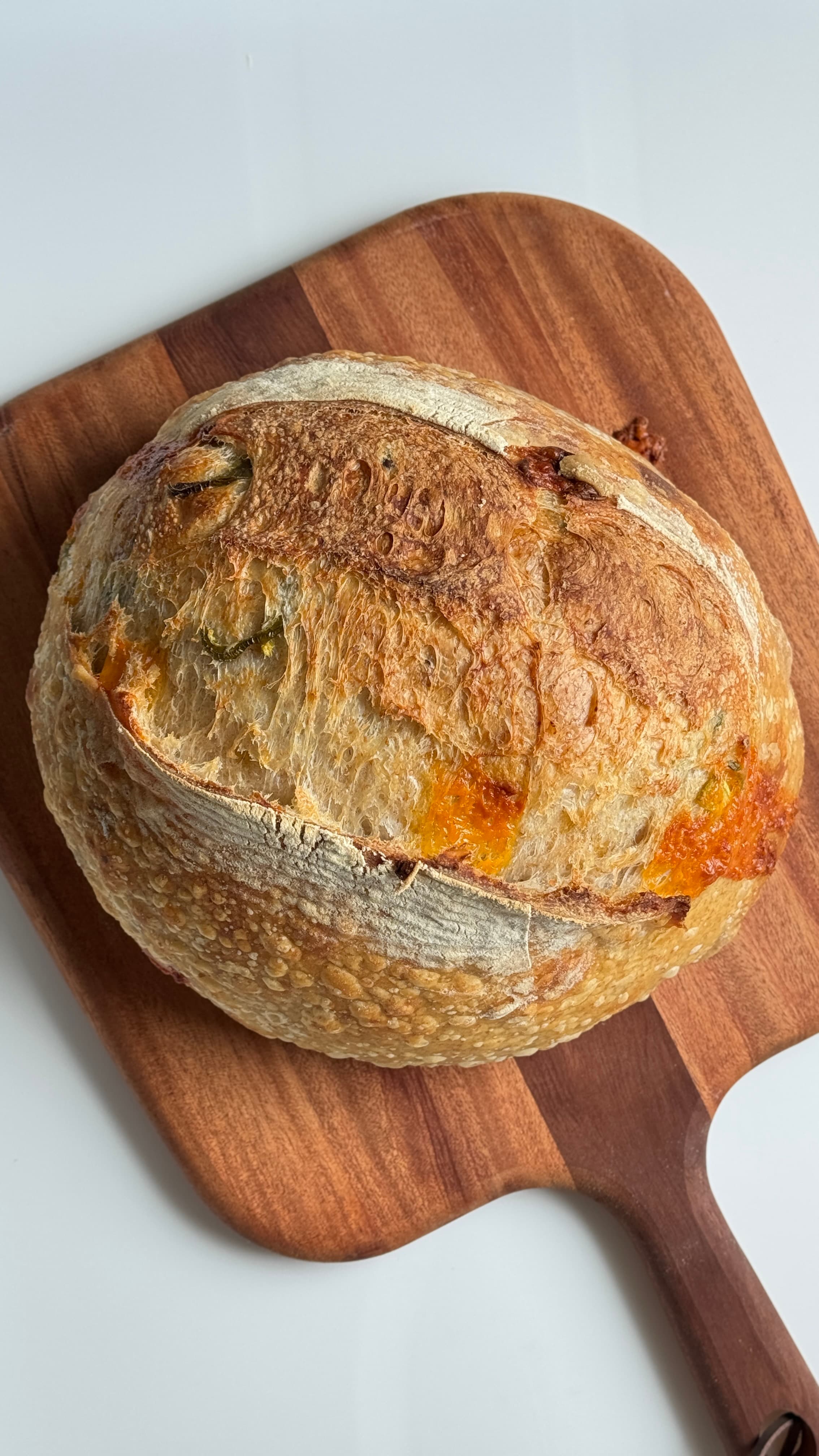 Sourdough Cheddar&Jalapeño Loaf by YeastCo Bakery in Houston Texas