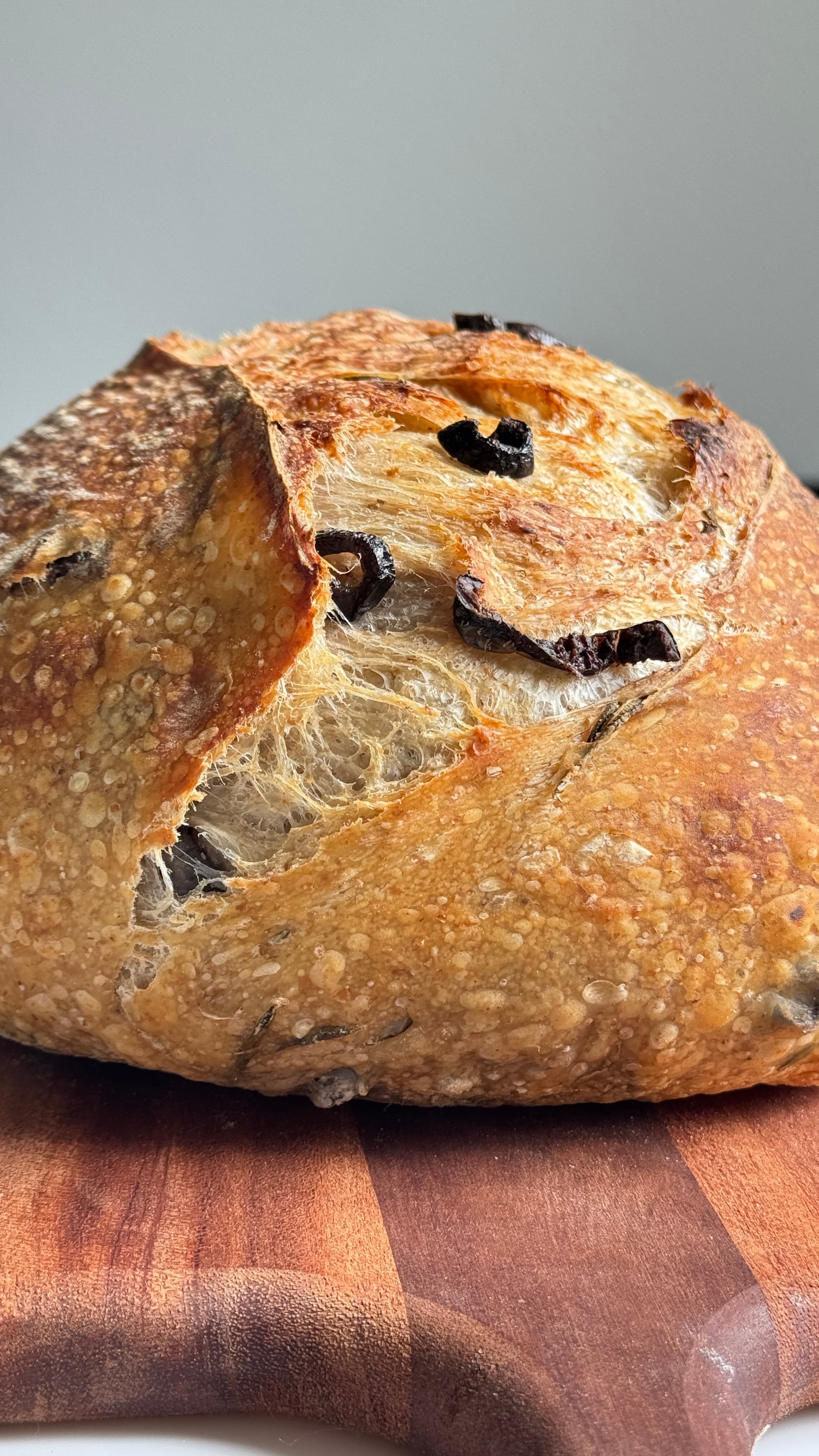 Sourdough Olive&Rosemary Loaf by YeastCo Bakery in Houston Texas