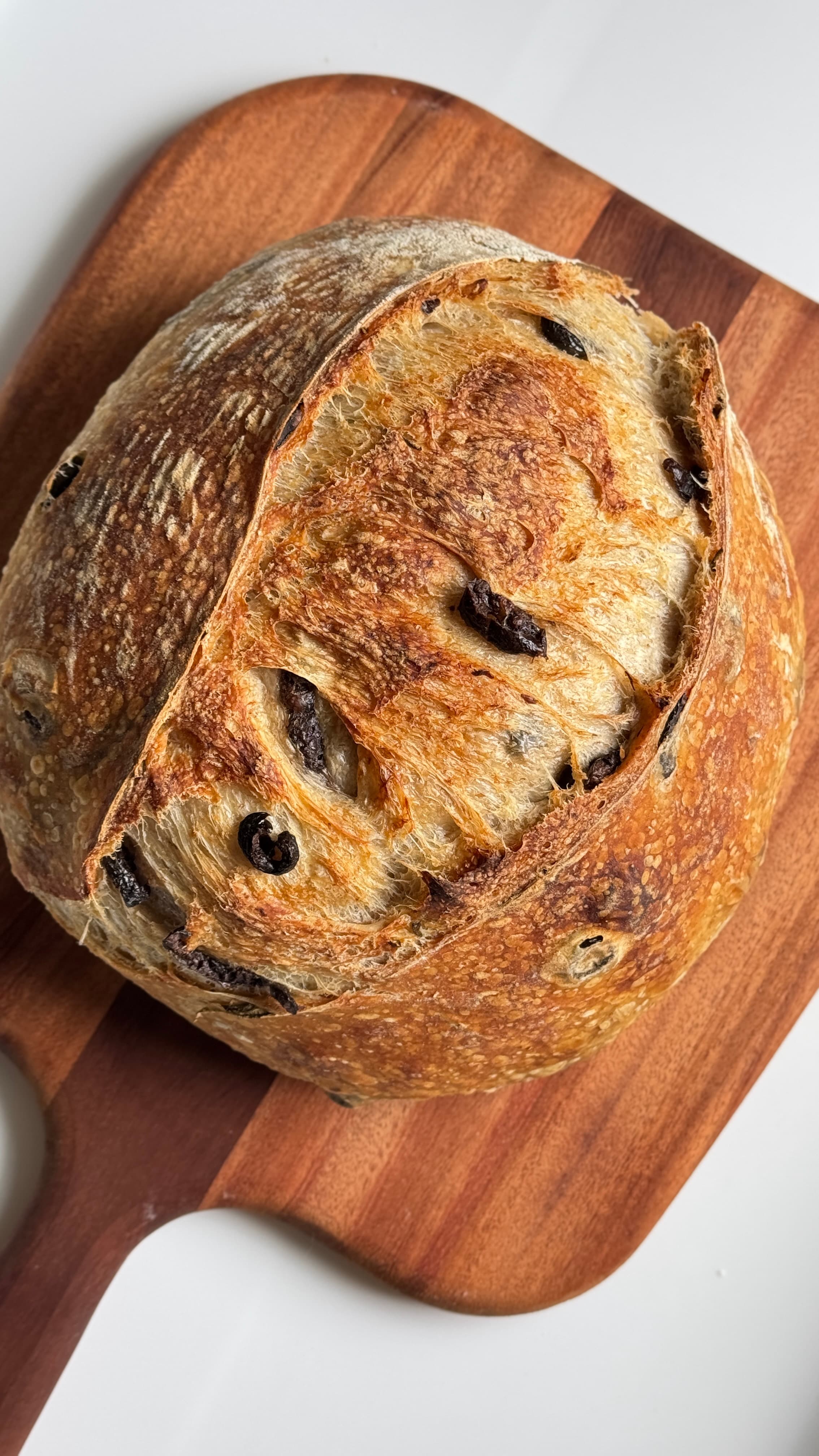 Sourdough Olive&Rosemary Loaf by YeastCo Bakery in Houston Texas