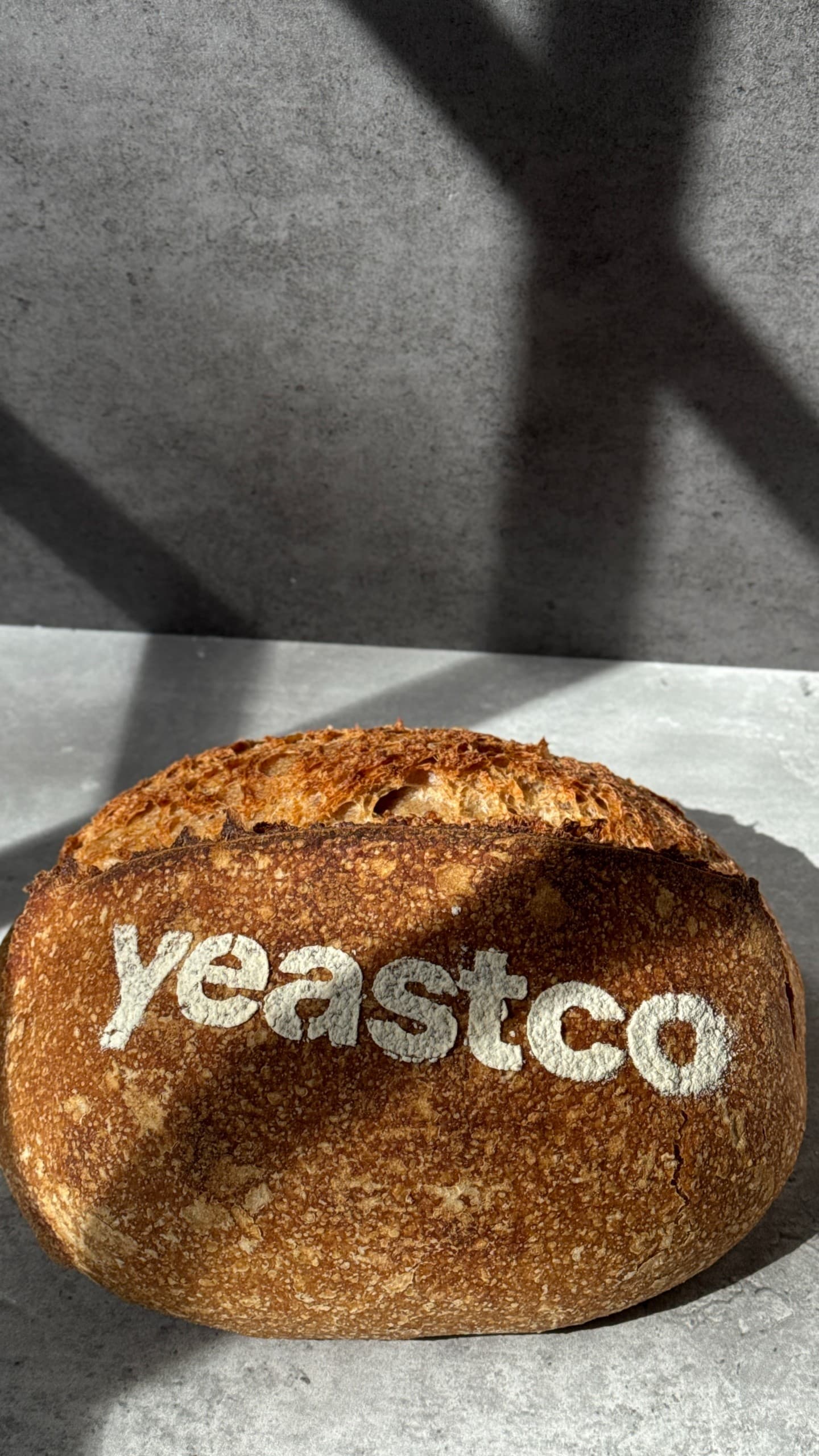 Sourdough Whole Wheat Bread by YeastCo Bakery in Houston Texas