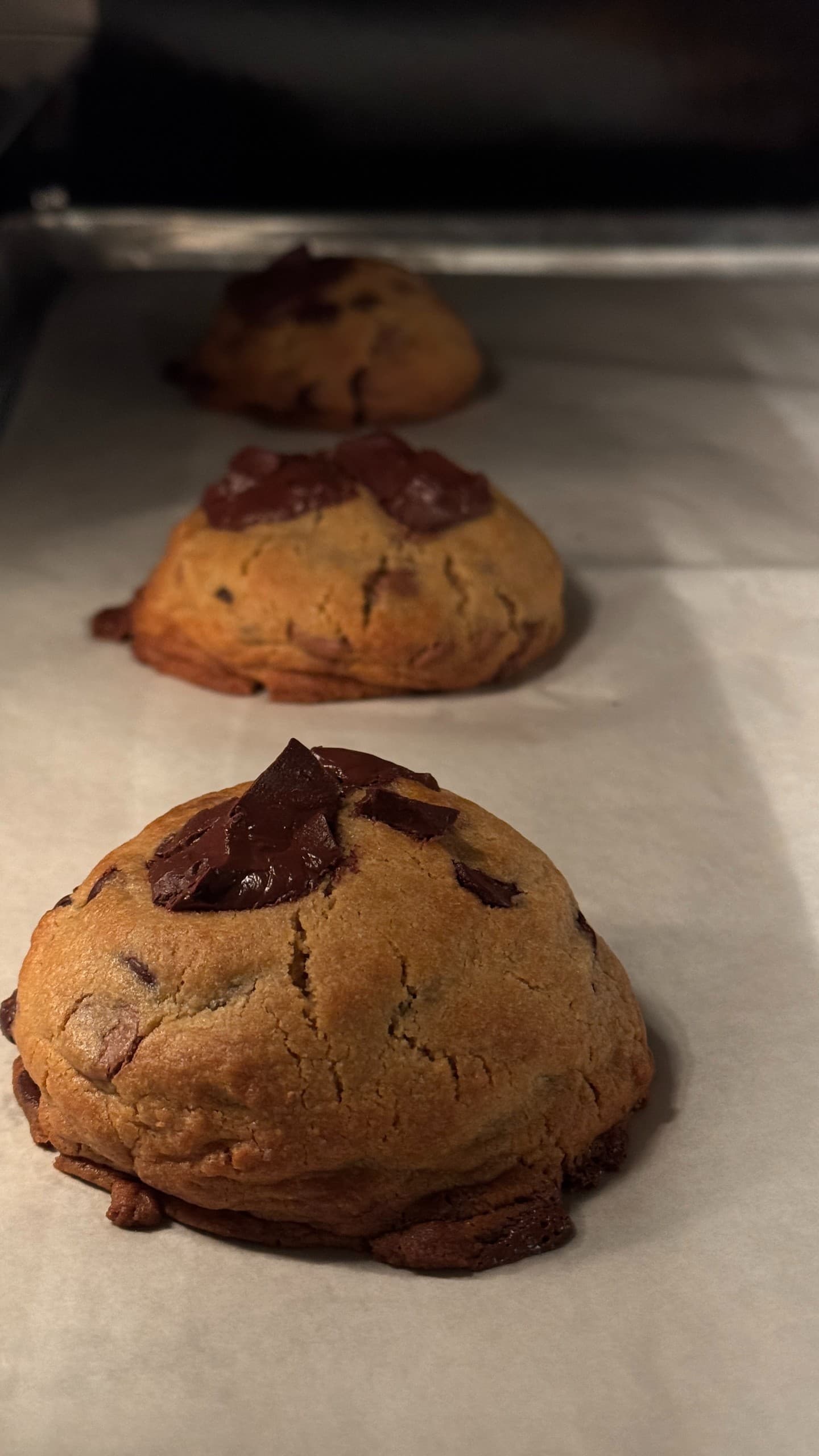 Chocolate Chip Cookie