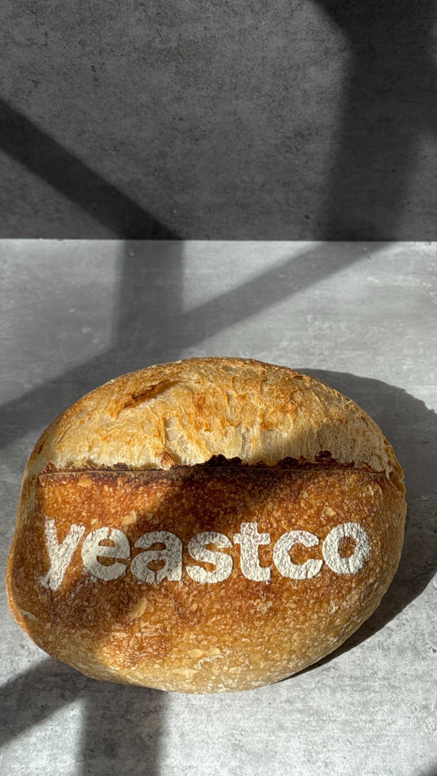 Sourdough Country Loaf by YeastCo Bakery in Houston Texas