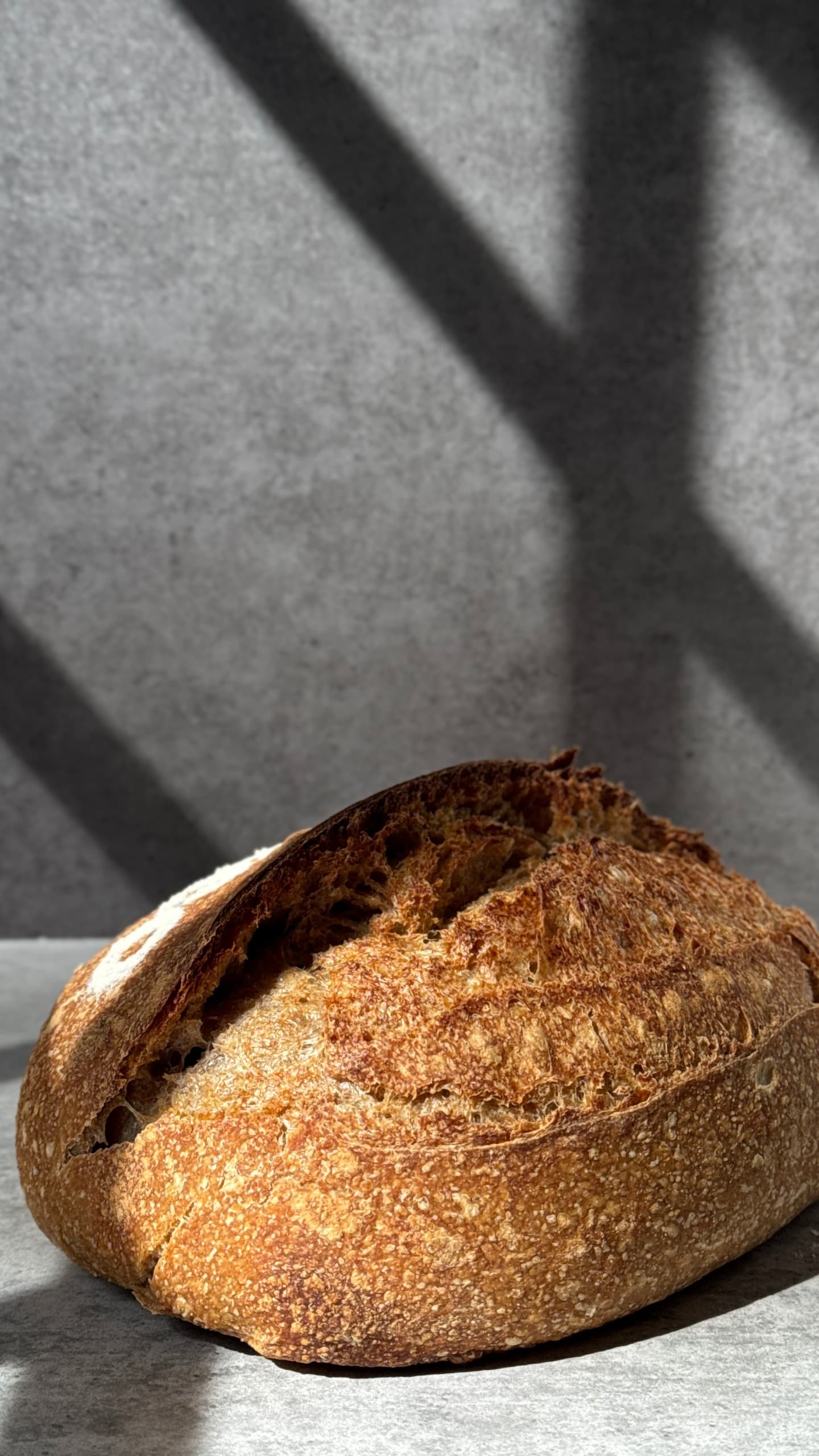 Sourdough Whole Wheat Bread by YeastCo Bakery in Houston Texas